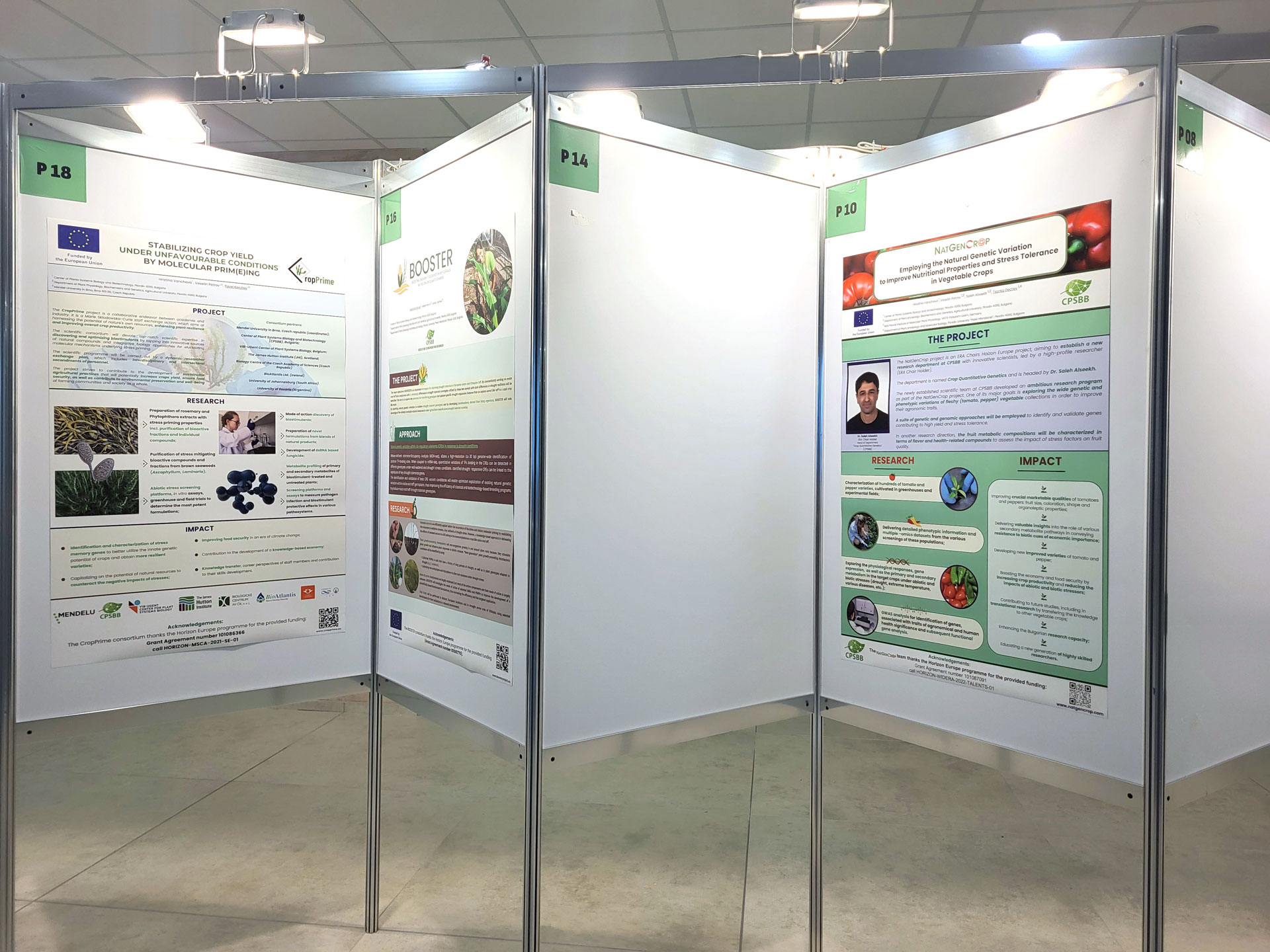 Poster Presentation